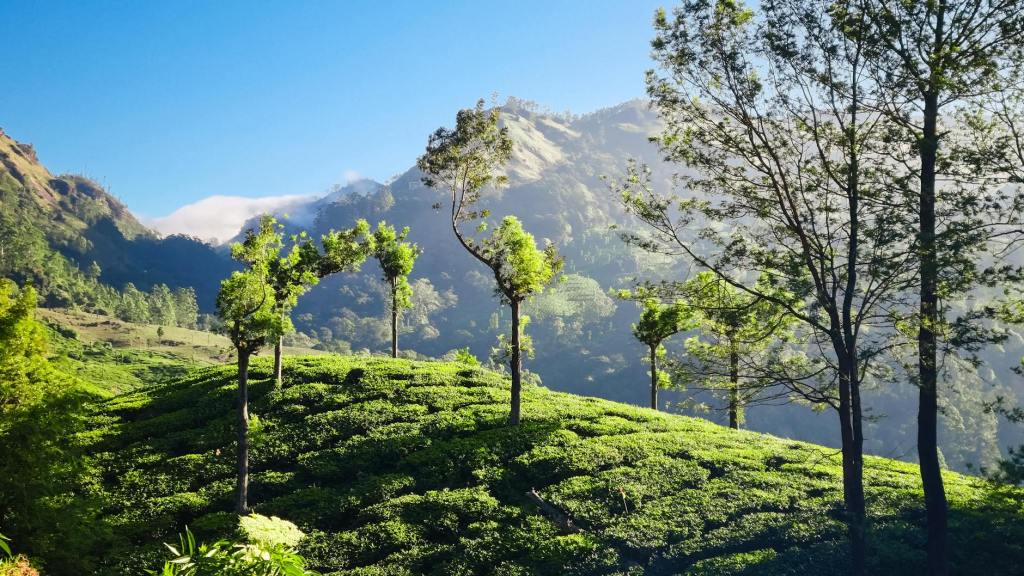 News from the Environmental/Climate Small&nbsp;Group