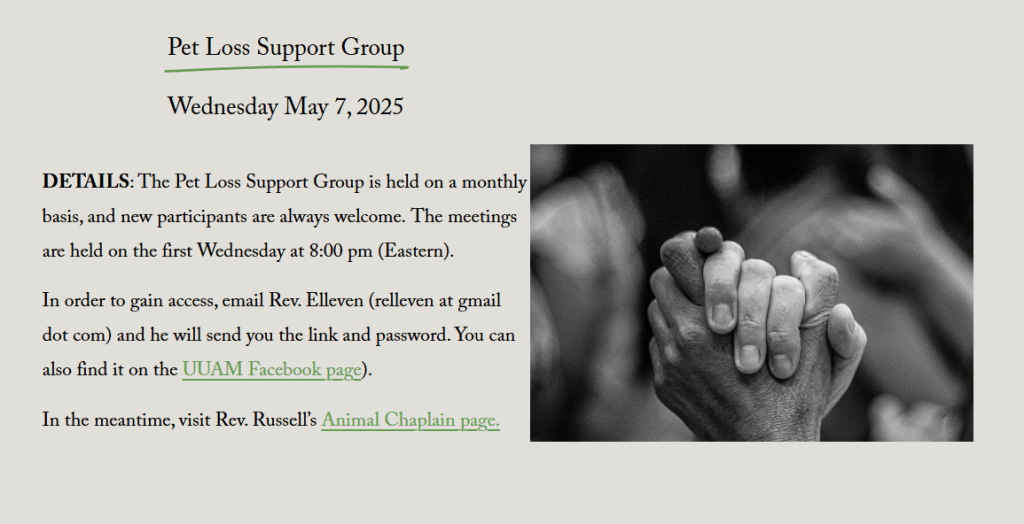 Pet Loss Support Group – 1st Wednesday of Each Month
