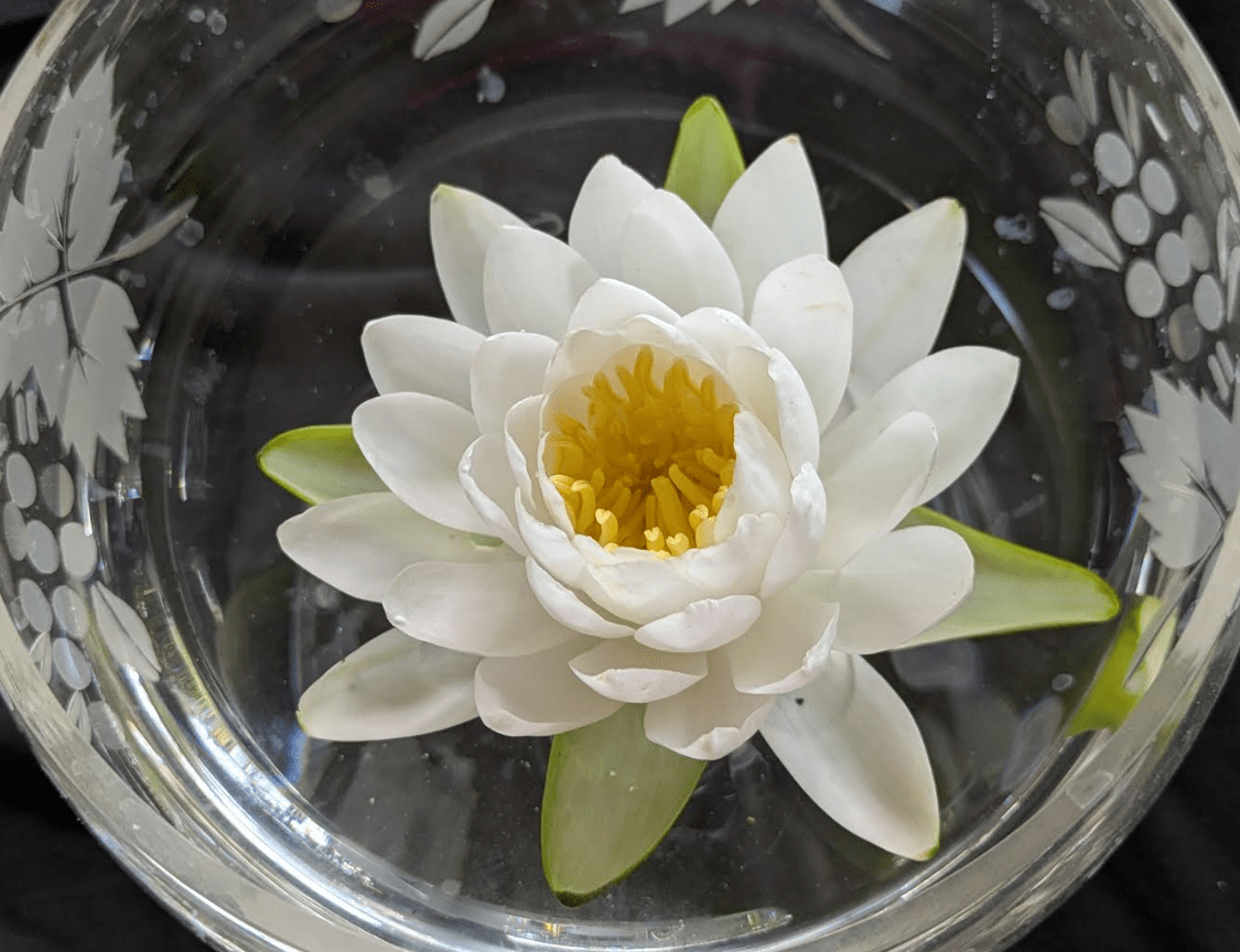 And Service is its Prayer – January 11th, 2026&nbsp;@11am